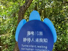 -广东惠东海龟国家级自然保护区
