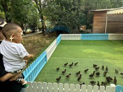 -萌宠亲子动物乐园(槐房万达店)