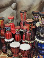 -卡通尼·Safari非洲探索乐园·生日会(金桥国际商业广场店)