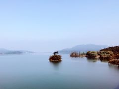 -余姚四明湖开元名都度假酒店·夏威夷西餐厅
