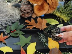 -国家植物园南园