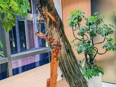 -御宴(北外滩店)