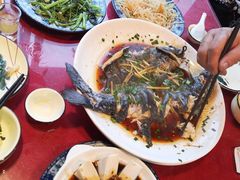 -生态苑农庄(十里画廊遇龙河店)