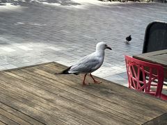 -金味德兰州牛肉拉面