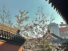 -长春观