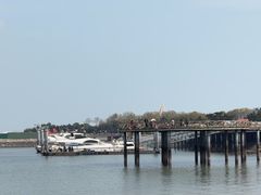 -日照世帆赛基地