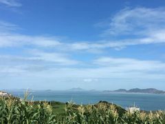 -枸杞岛