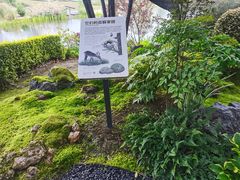 -上海植物园-4号门售票处