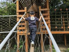 -硅谷蒙学幼儿园