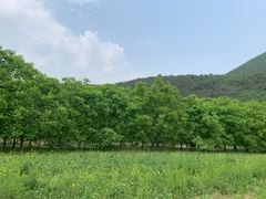 -丽泽山庄·生态怀柔菜·虹鳟鱼(红螺寺店)