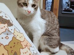 -小时光咖啡馆(开森度假森林店)