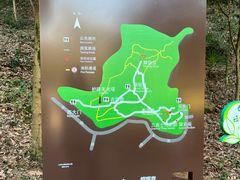 -上海佘山国家森林公园天马山园