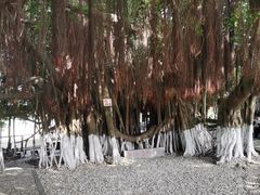 -胡里山炮台