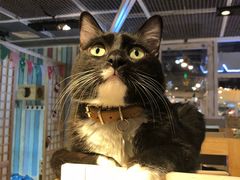 -小时光咖啡馆(开森度假森林店)