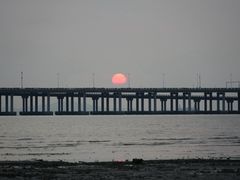 -宝安西湾红树林湿地公园