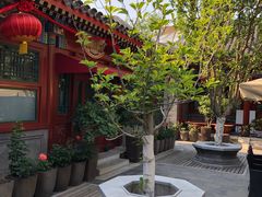 -北京古城老院厉晓麟精致菜