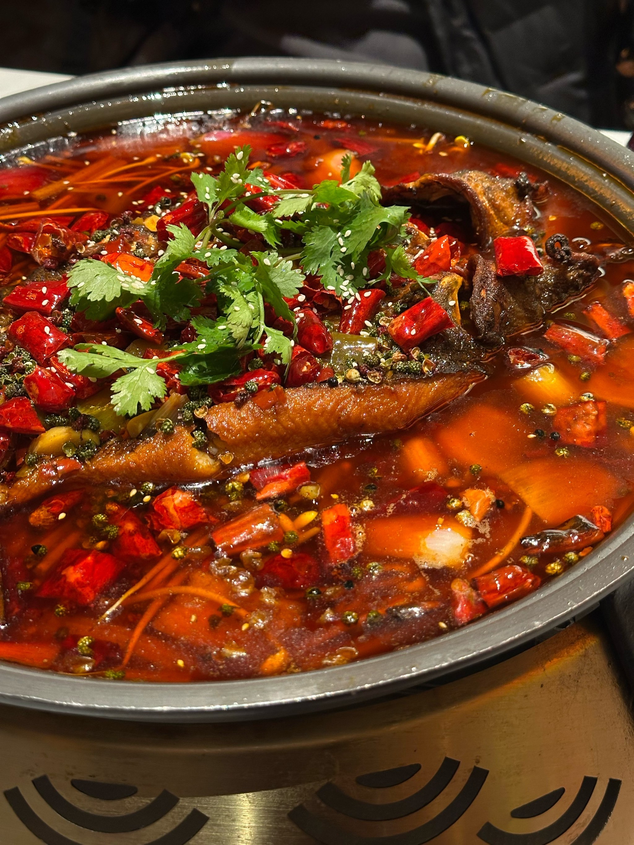 园艺山上的中式烤鱼🐟