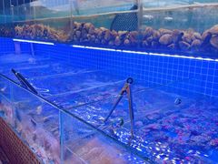 -海韵之星邮轮水会(明发商业广场店)