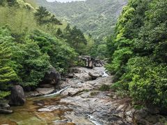 -黄山翡翠谷景区