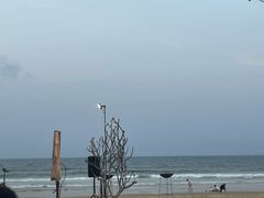 -海南清水湾莱佛士酒店