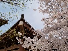 -西安青龙寺遗址景区