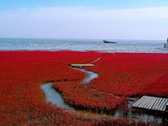 -红海滩国家风景廊道