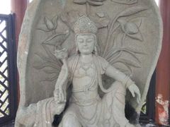 -江南天池