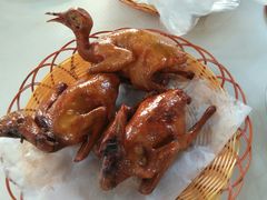 -石岐乳鸽村(桥观坊南四巷店)