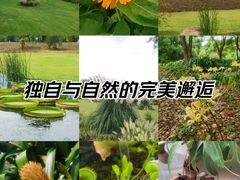 -上海辰山植物园