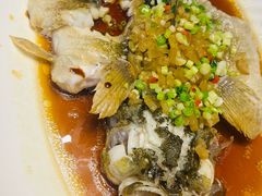-上海外滩茂悦大酒店