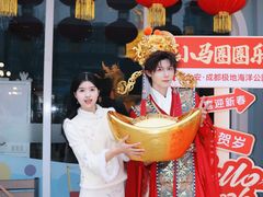 -海合安成都极地海洋公园