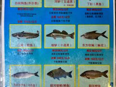 -瑞琳阿尔泰冷水鱼(康源财富中心店)