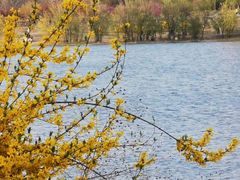 -永定河休闲森林公园