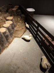 -未来动物城动物主题公园(大悦城店)