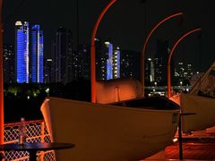 -武汉知音号