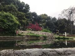 -成都市活水公园