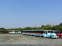 -泗洪洪泽湖湿地景区