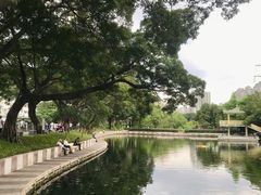 -晓港公园