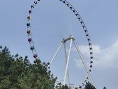 -美心红酒小镇游乐园