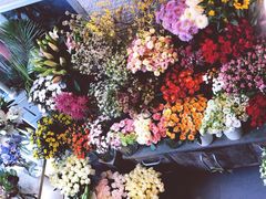 -杭州街角花屋花店(闻堰店)