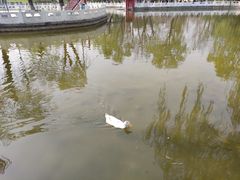 -丰台花园
