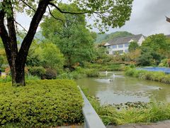 -藏龙百瀑风景区