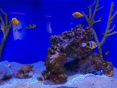 -上海海洋水族馆