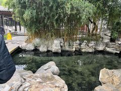 -趵突泉景区
