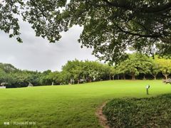 -广州雕塑公园