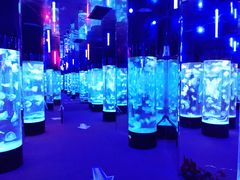 -成都浩海立方海洋公园