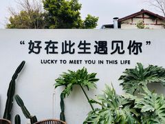 -云里小坐·小院里·团建·宴请·下午茶(三圣乡店)