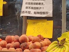-本觉禅拍