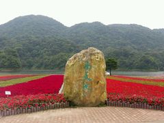 景点-广州市石门国家森林公园