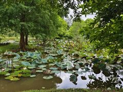 -中国科学院西双版纳热带植物园